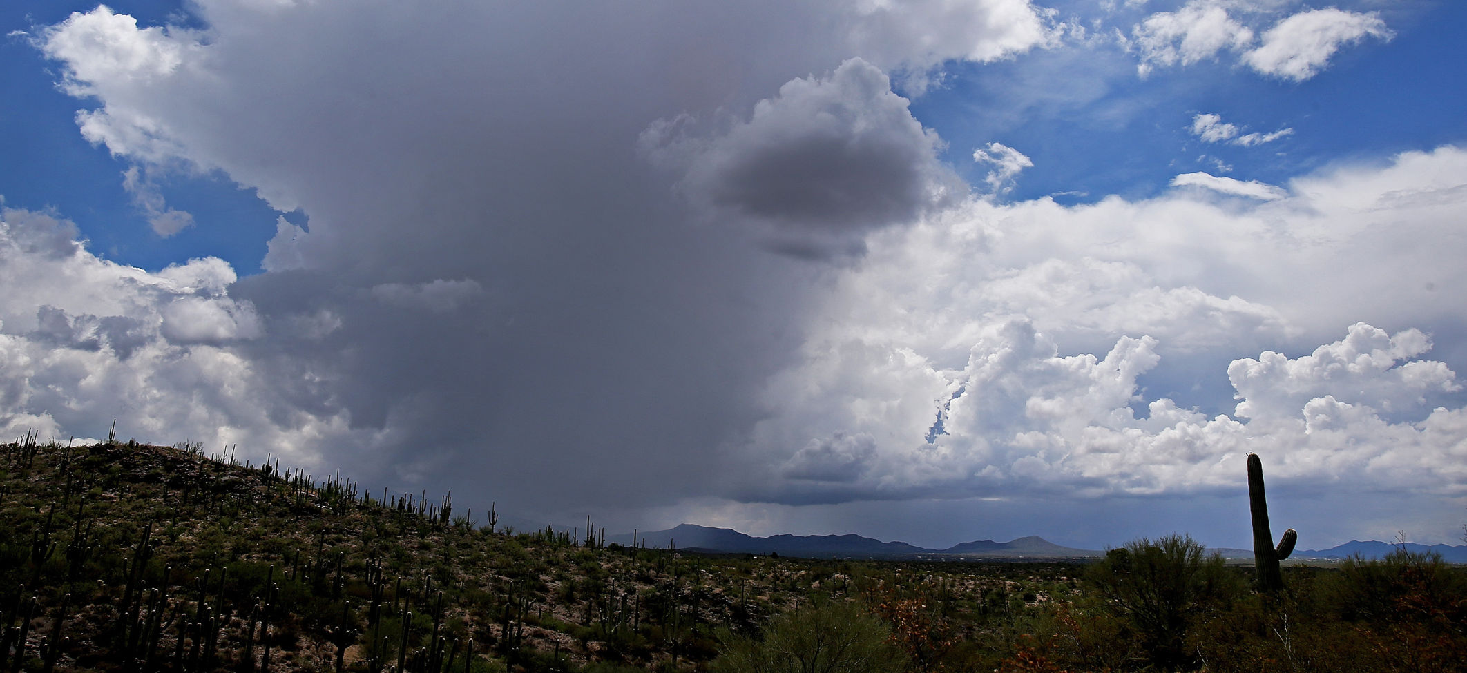 Monsoon 2017